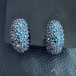 Heidi Daus Hugs Half Hoop Blue Rhinestone Clip on Earrings